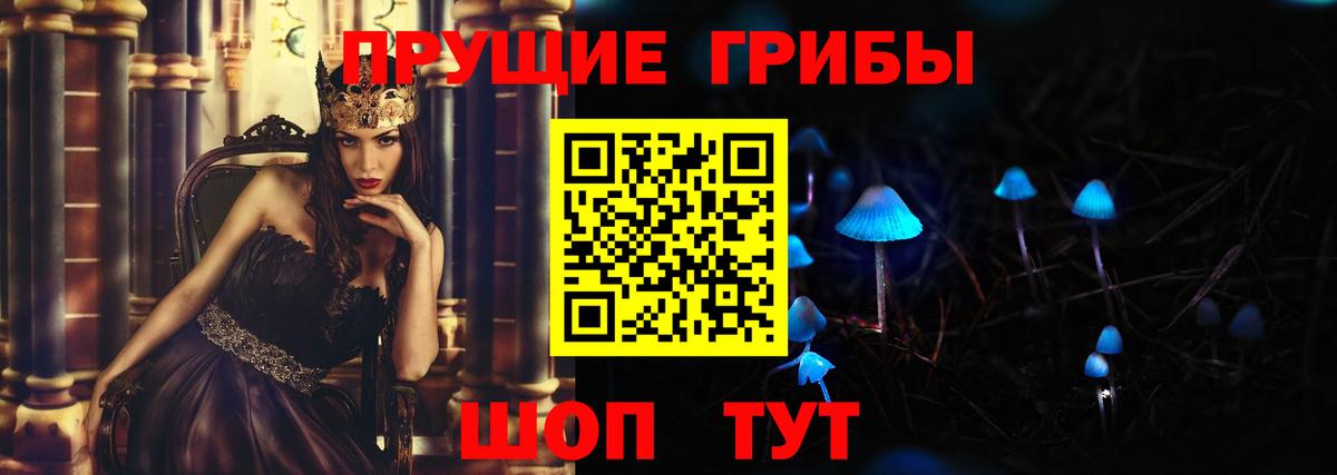 Псилоцибиновые грибы GOLDEN TEACHER Дедовск